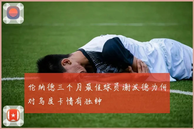 伦纳德三个月最佳球员谢泼德为何对乌度卡情有独钟