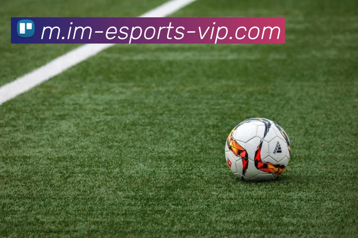 IM体育服务体系